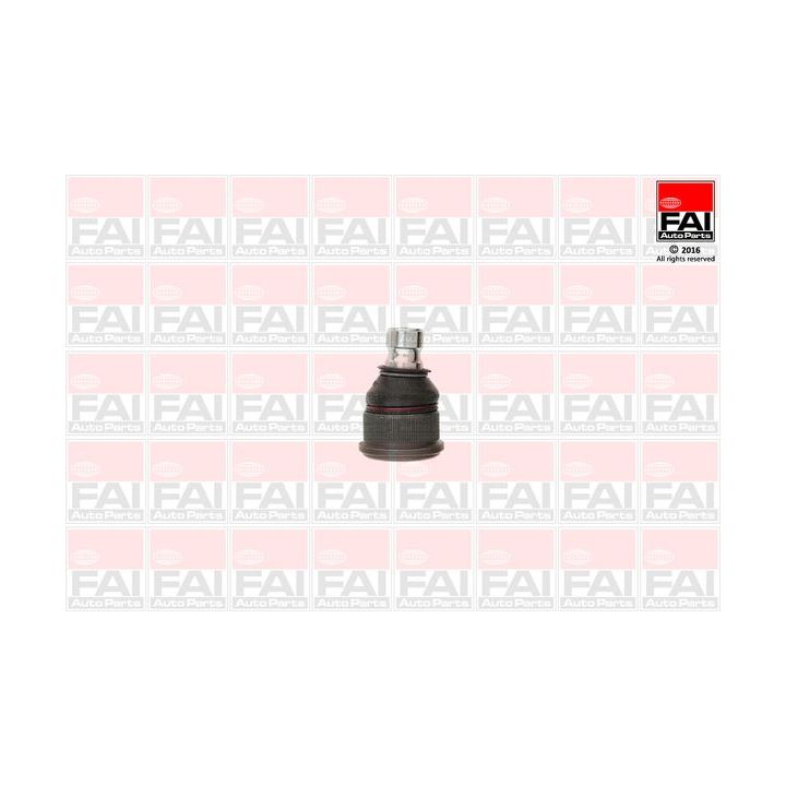 Šarnyras / girgždukas FAI AutoParts SS036
