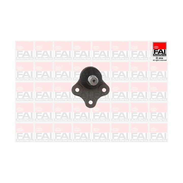 Šarnyras / girgždukas FAI AutoParts SS063