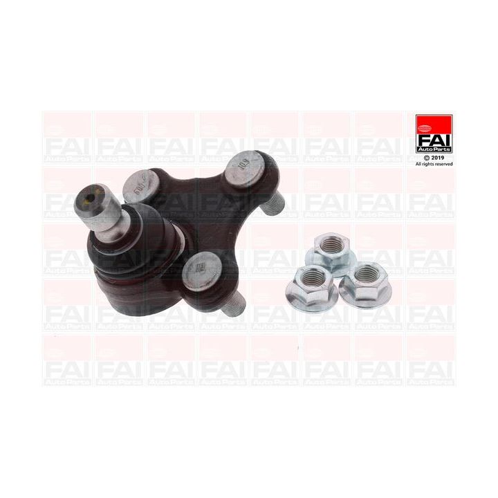 Šarnyras / girgždukas FAI AutoParts SS10004