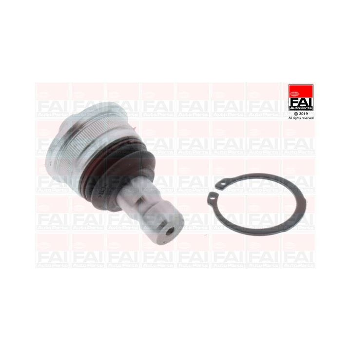 Šarnyras / girgždukas FAI AutoParts SS10147