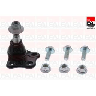 Šarnyras / girgždukas FAI AutoParts SS10169