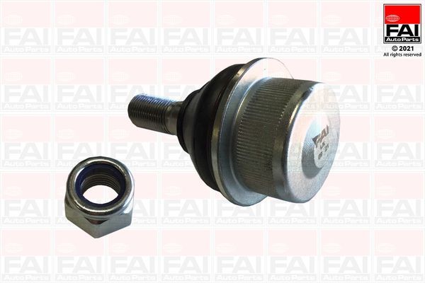 Šarnyras / girgždukas FAI AutoParts SS10711