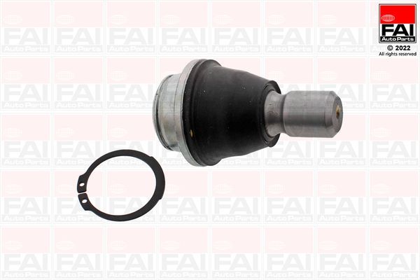 Šarnyras / girgždukas FAI AutoParts SS10748