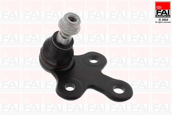 Šarnyras / girgždukas FAI AutoParts SS10853