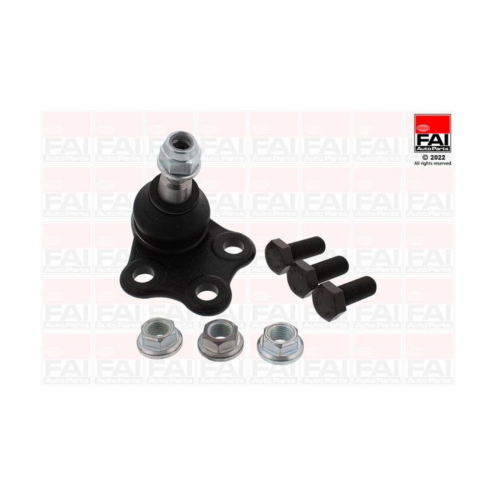 Šarnyras / girgždukas FAI AutoParts SS11035