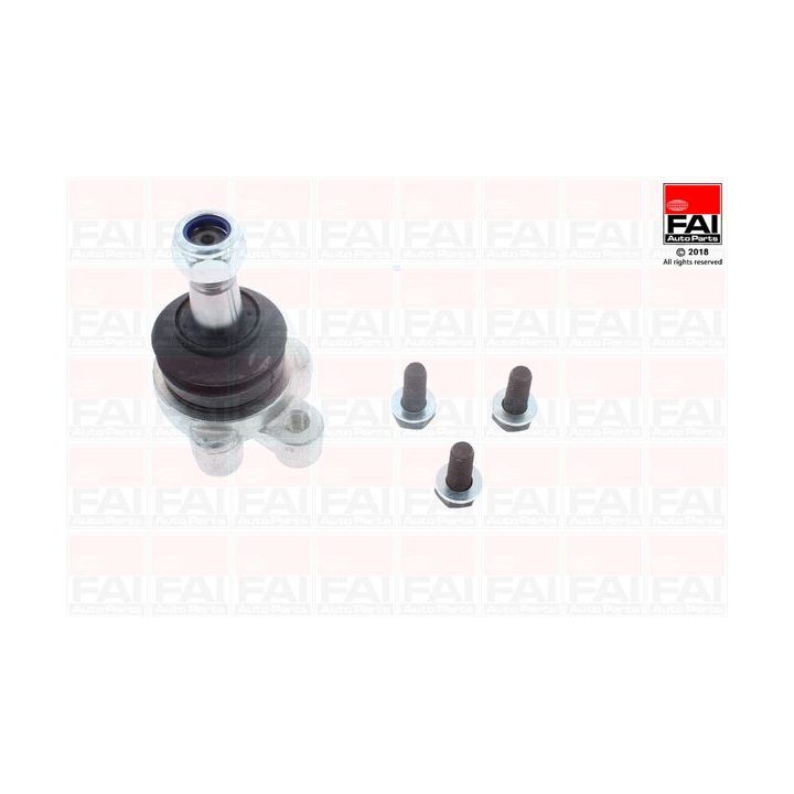 Šarnyras / girgždukas FAI AutoParts SS1160