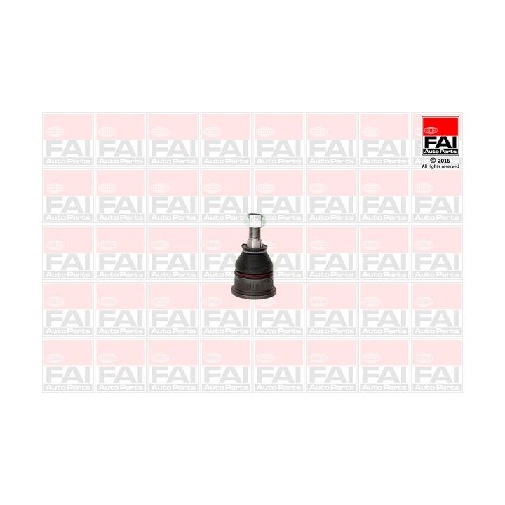 Šarnyras / girgždukas FAI AutoParts SS1194