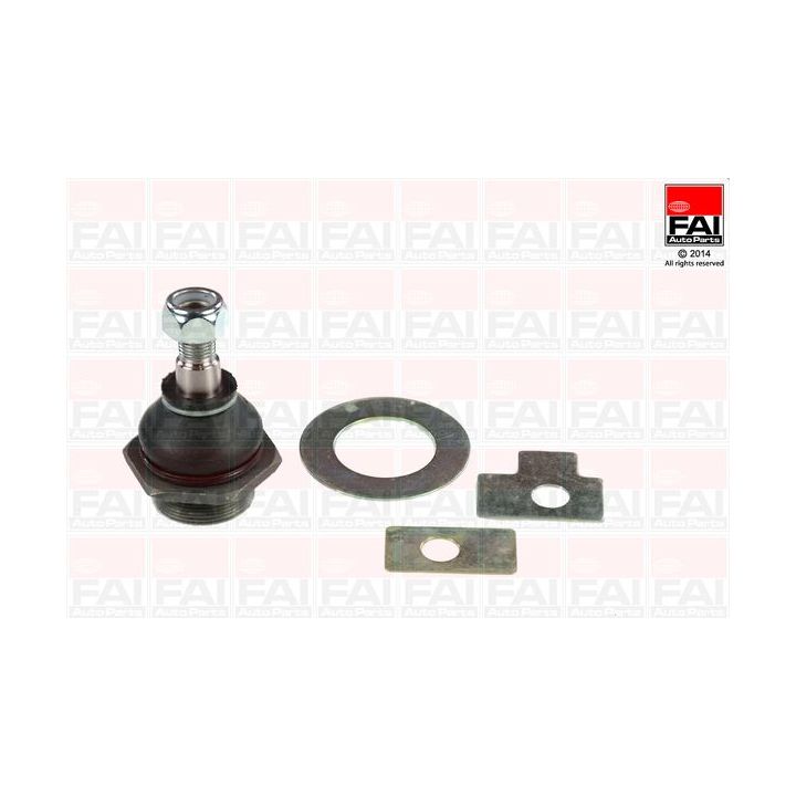 Šarnyras / girgždukas FAI AutoParts SS170