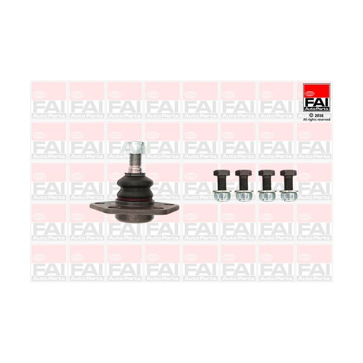 Šarnyras / girgždukas FAI AutoParts SS2456