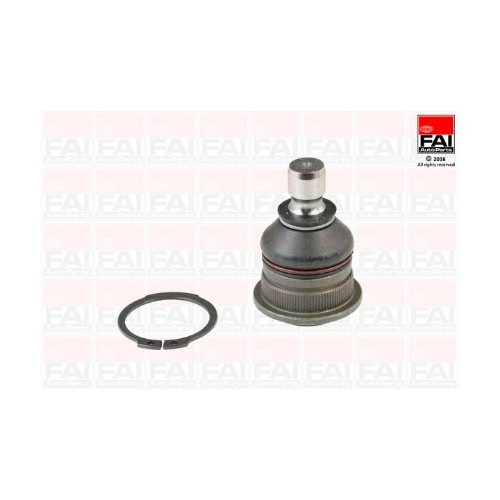 Šarnyras / girgždukas FAI AutoParts SS5821