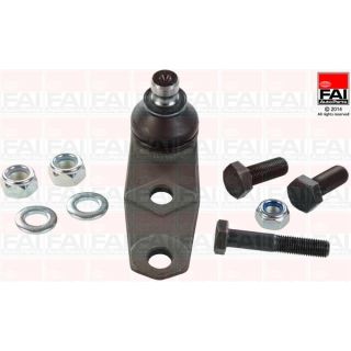 Šarnyras / girgždukas FAI AutoParts SS6260