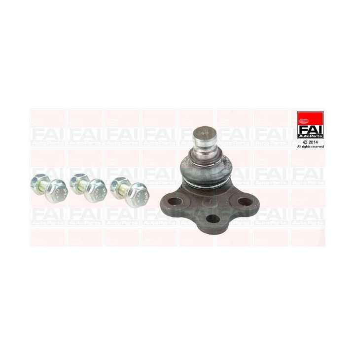 Šarnyras / girgždukas FAI AutoParts SS7048