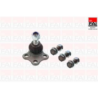 Šarnyras / girgždukas FAI AutoParts SS7224