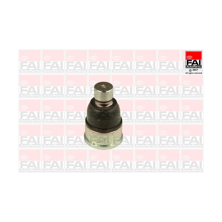 Šarnyras / girgždukas FAI AutoParts SS8850