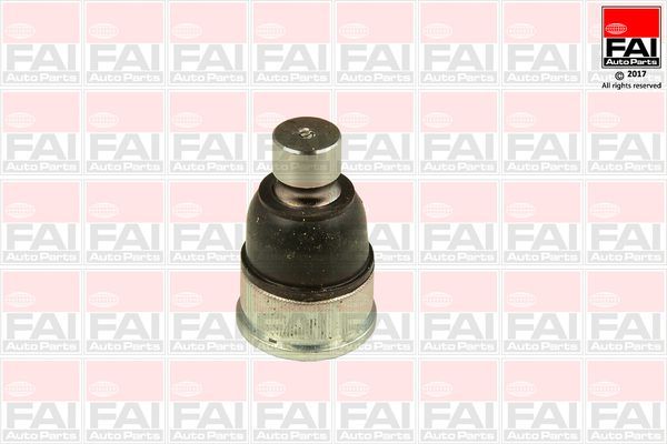 Šarnyras / girgždukas FAI AutoParts SS8850