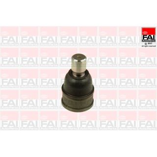 Šarnyras / girgždukas FAI AutoParts SS8853