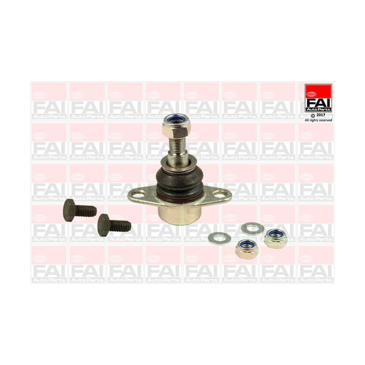 Šarnyras / girgždukas FAI AutoParts SS8854