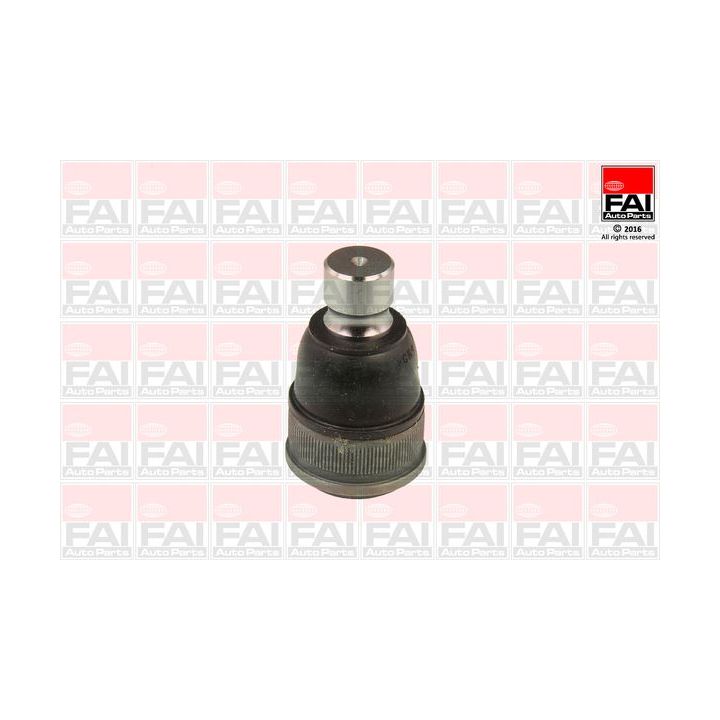 Šarnyras / girgždukas FAI AutoParts SS8906