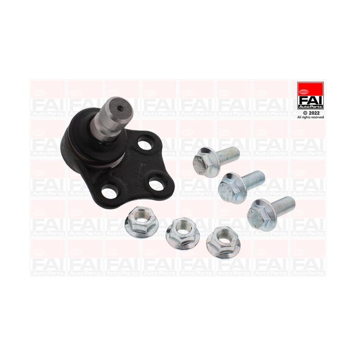 Šarnyras / girgždukas FAI AutoParts SS9444