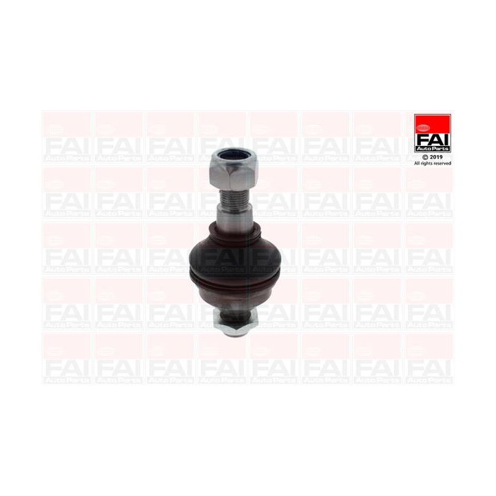Šarnyras / girgždukas FAI AutoParts SS9587