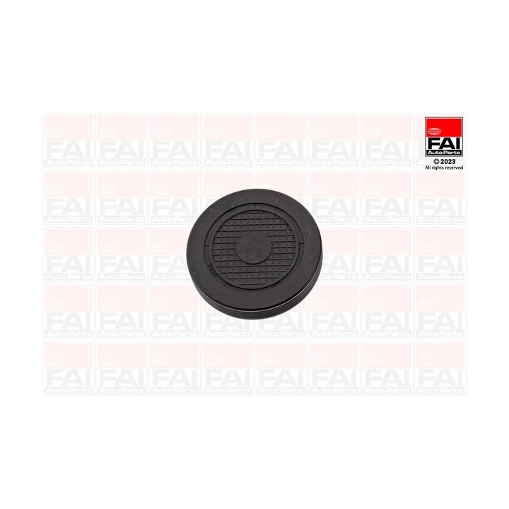 Kaištis, pavaros svirties veleno tvirtinimo anga FAI AutoParts RMG880C