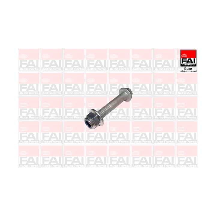 Tvirtinimo veržlės, balansyras FAI AutoParts SS9248
