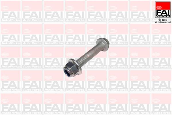 Tvirtinimo veržlės, balansyras FAI AutoParts SS9248