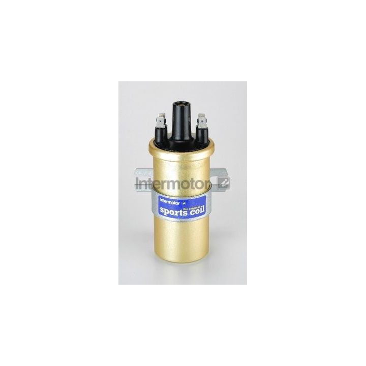 Ritė, uždegimas INTERMOTOR 11105