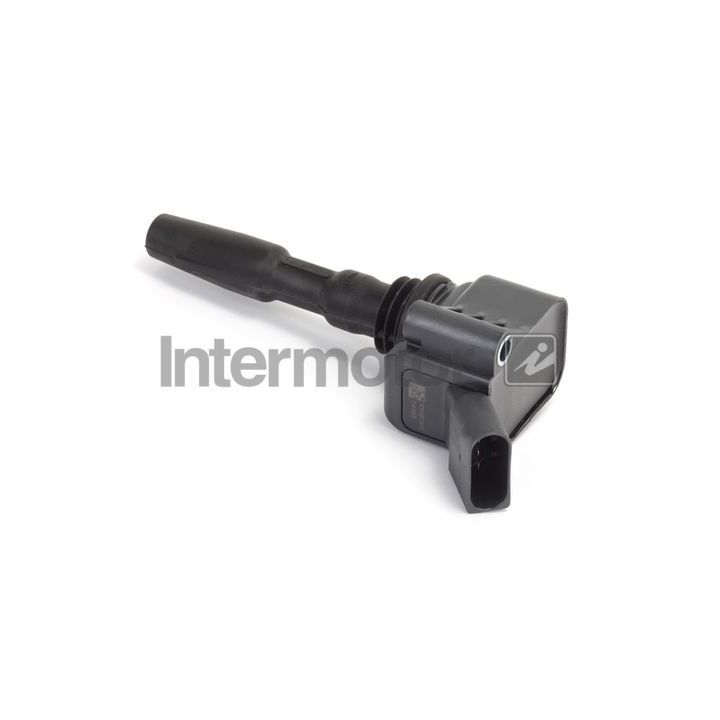 Ritė, uždegimas INTERMOTOR 12101