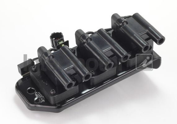 Ritė, uždegimas INTERMOTOR 12103