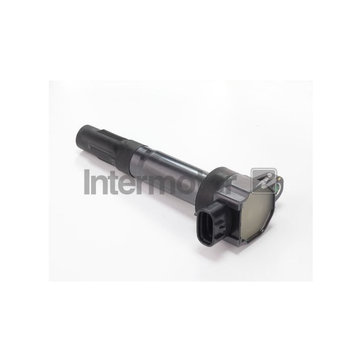 Ritė, uždegimas INTERMOTOR 12108