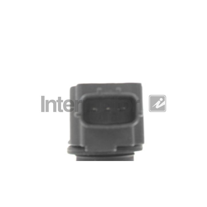 Ritė, uždegimas INTERMOTOR 12163