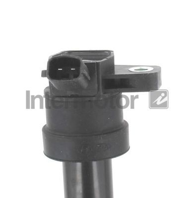 Ritė, uždegimas INTERMOTOR 12164