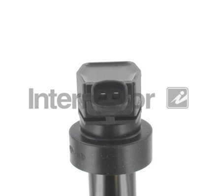 Ritė, uždegimas INTERMOTOR 12165