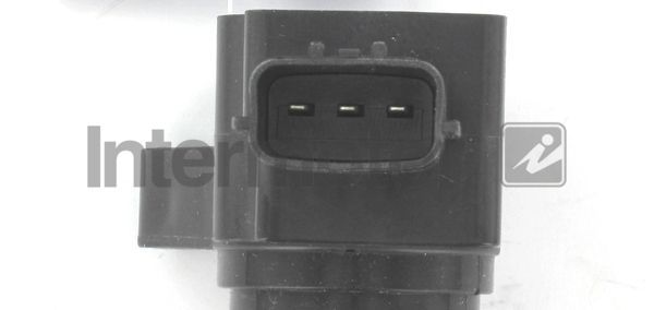 Ritė, uždegimas INTERMOTOR 12191