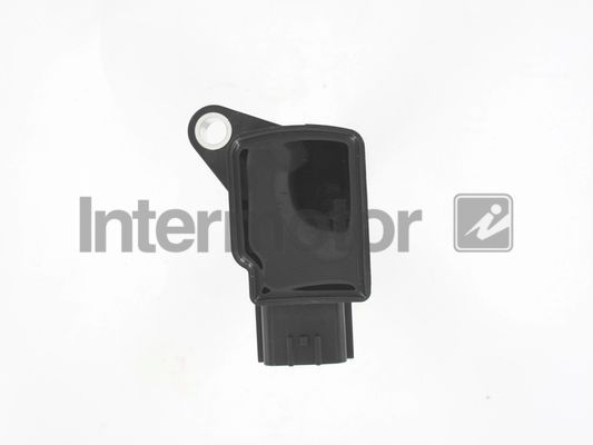 Ritė, uždegimas INTERMOTOR 12193