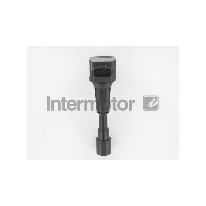 Ritė, uždegimas INTERMOTOR 12199