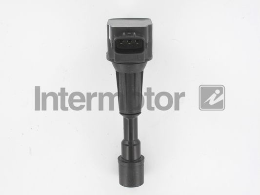 Ritė, uždegimas INTERMOTOR 12199