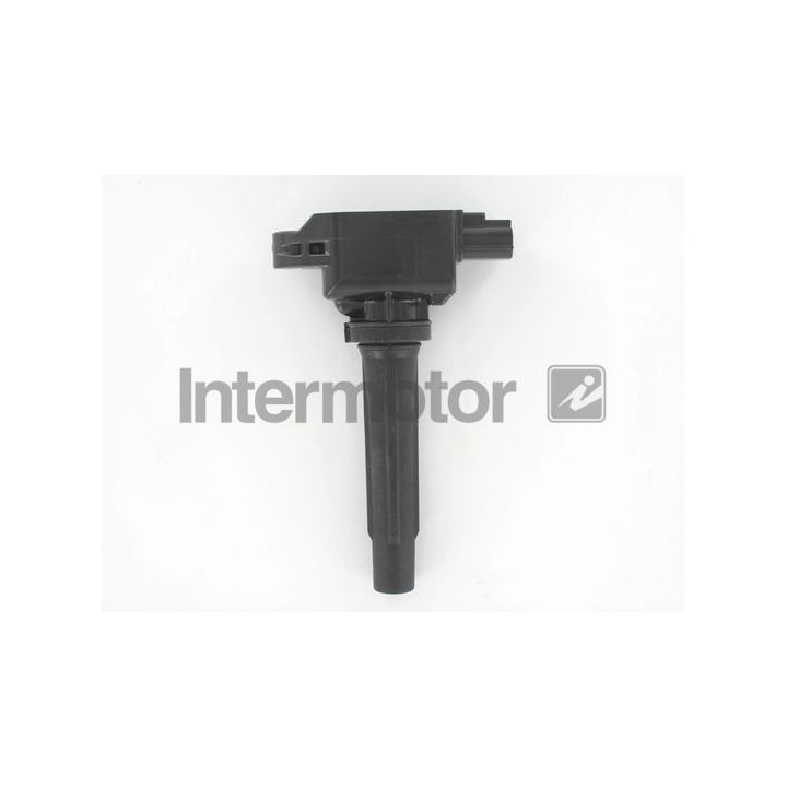 Ritė, uždegimas INTERMOTOR 12212