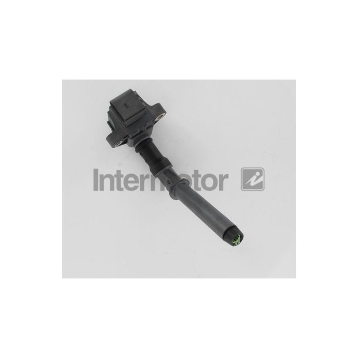 Ritė, uždegimas INTERMOTOR 12238