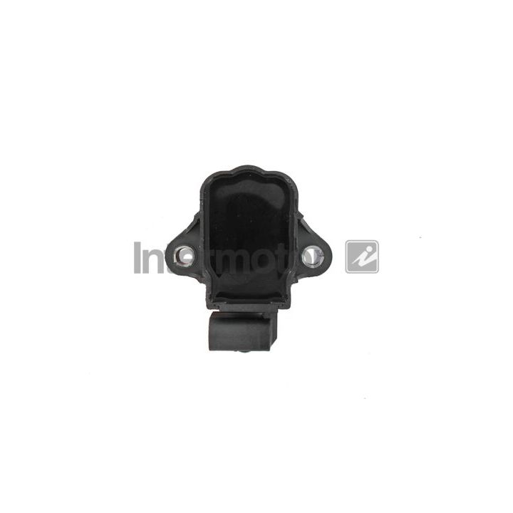 Ritė, uždegimas INTERMOTOR 12238