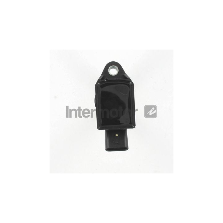 Ritė, uždegimas INTERMOTOR 12241