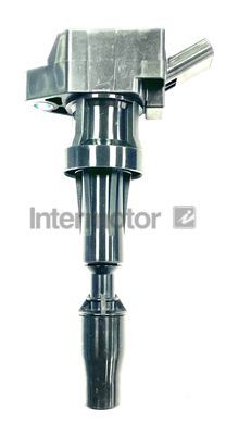 Ritė, uždegimas INTERMOTOR 12245