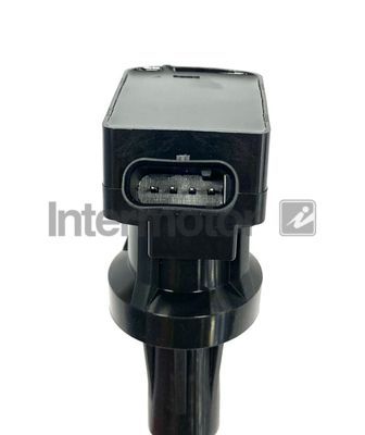 Ritė, uždegimas INTERMOTOR 12245