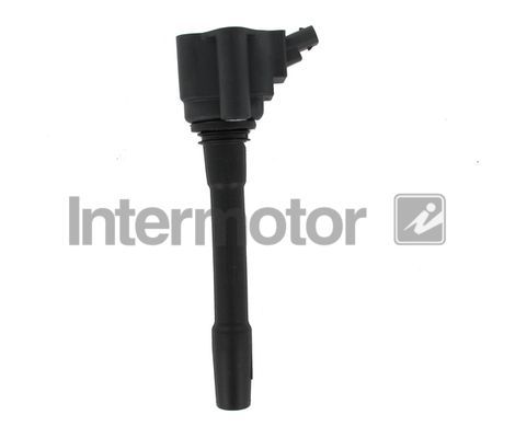 Ritė, uždegimas INTERMOTOR 12248