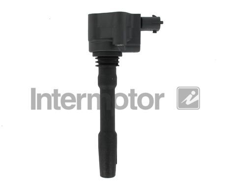 Ritė, uždegimas INTERMOTOR 12251