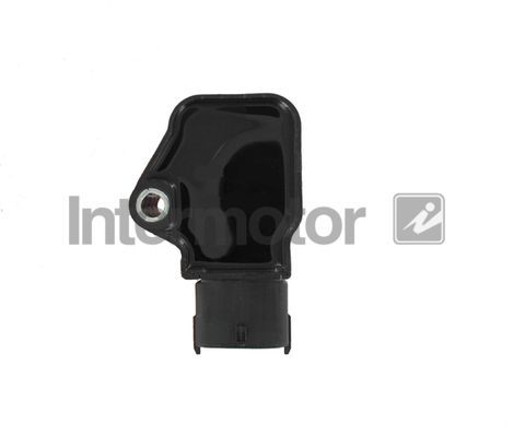 Ritė, uždegimas INTERMOTOR 12251