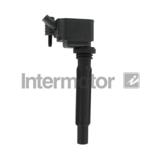 Ritė, uždegimas INTERMOTOR 12261