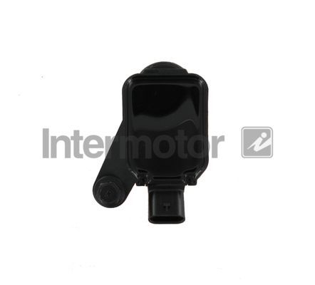 Ritė, uždegimas INTERMOTOR 12261