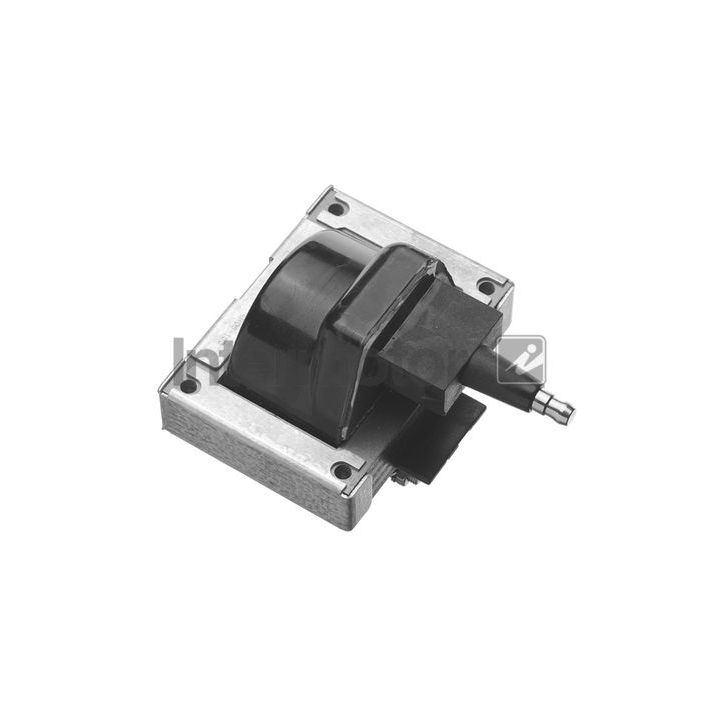 Ritė, uždegimas INTERMOTOR 12306